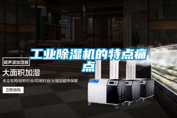 工業(yè)除濕機的特點(diǎn)痛點(diǎn)