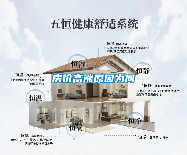 房?jì)r(jià)高漲原因為何
