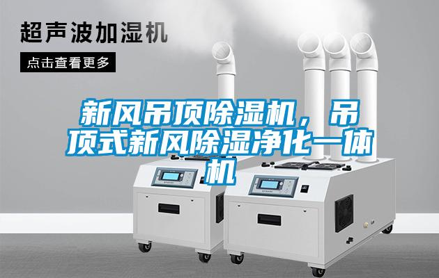 新風(fēng)吊頂除濕機，吊頂式新風(fēng)除濕凈化一體機