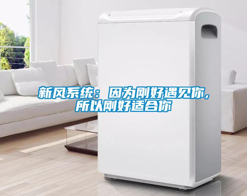 新風(fēng)系統：因為剛好遇見(jiàn)你,所以剛好適合你