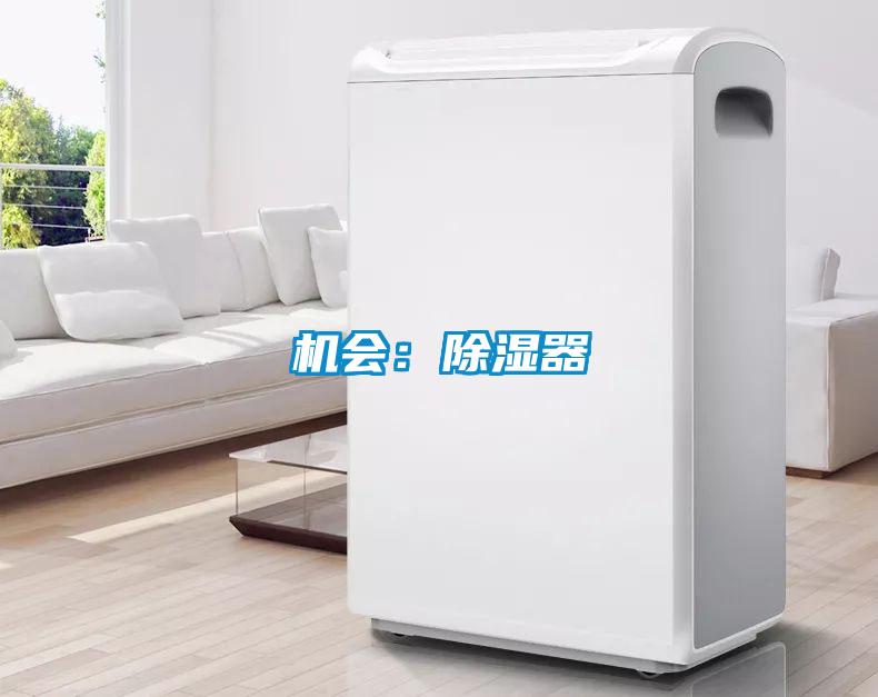 機會(huì )：除濕器