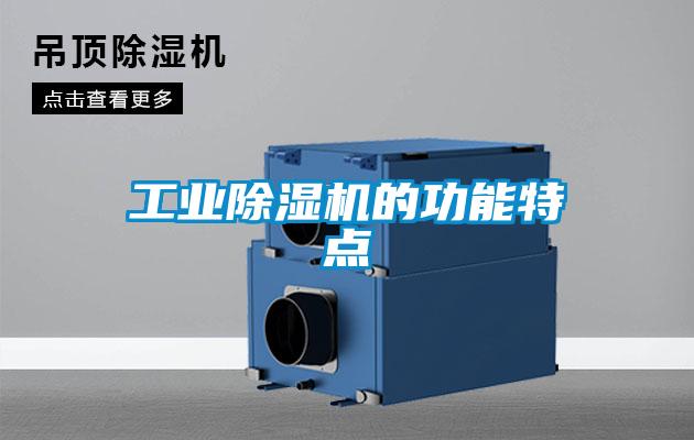 工業(yè)除濕機的功能特點(diǎn)