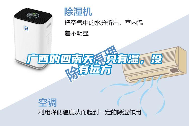 廣西的回南天，只有濕，沒(méi)有遠方