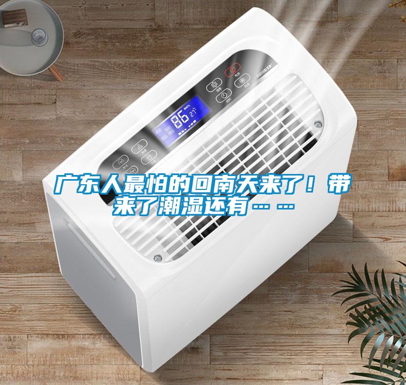 廣東人最怕的回南天來(lái)了！帶來(lái)了潮濕還有……