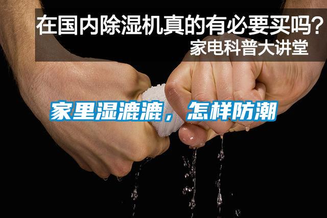 家里濕漉漉，怎樣防潮