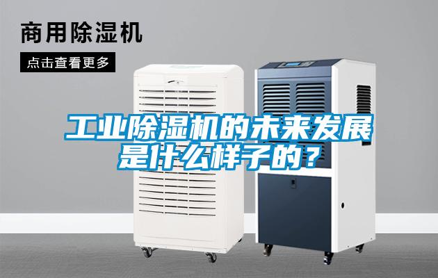 工業(yè)除濕機的未來(lái)發(fā)展是什么樣子的？