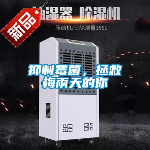 抑制霉菌，拯救梅雨天的你