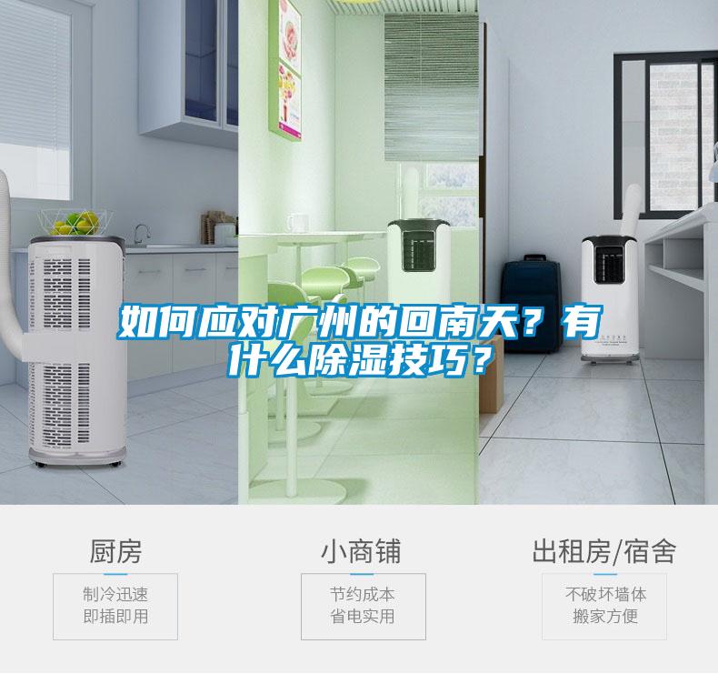 如何應對廣州的回南天？有什么除濕技巧？
