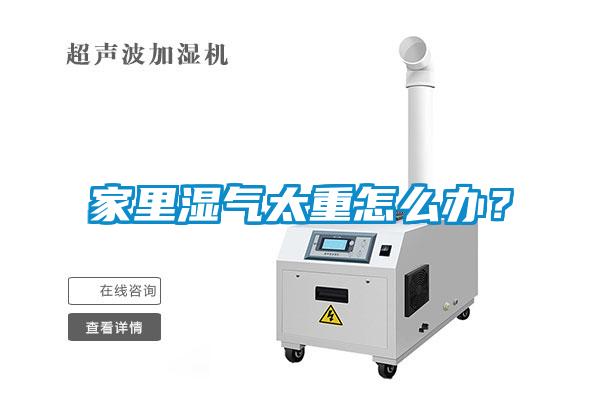 家里濕氣太重怎么辦？