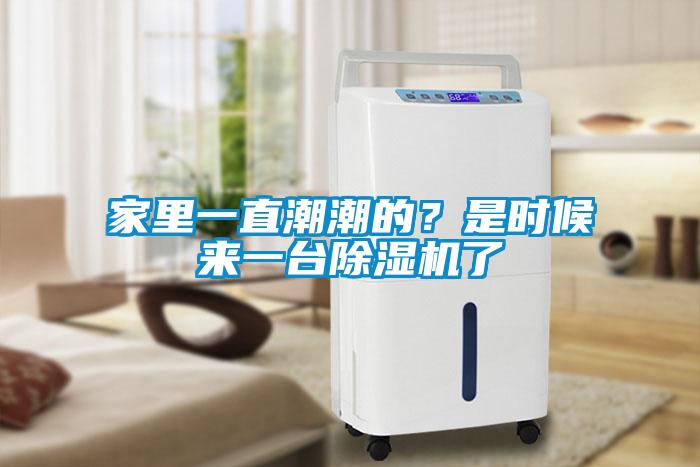 家里一直潮潮的？是時(shí)候來(lái)一臺除濕機了