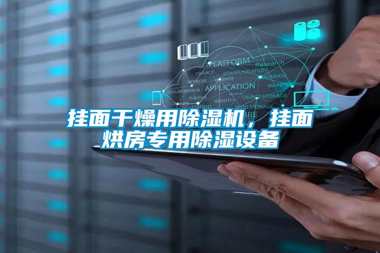 掛面干燥用除濕機，掛面烘房專(zhuān)用除濕設備