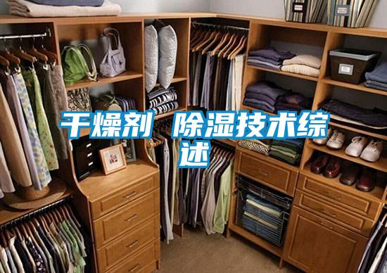 干燥劑 除濕技術(shù)綜述