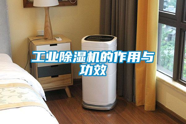 工業(yè)除濕機的作用與功效