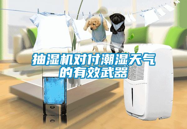 抽濕機對付潮濕天氣的有效武器