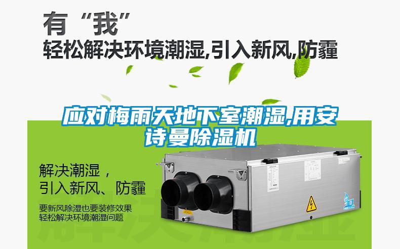 應對梅雨天地下室潮濕,用安詩(shī)曼除濕機