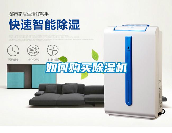 如何購買(mǎi)除濕機