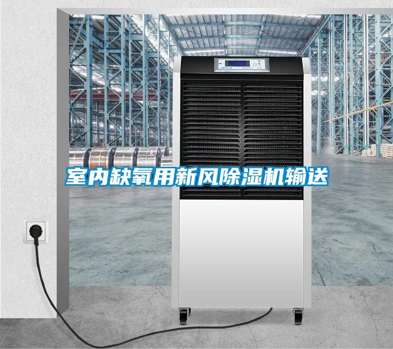 室內缺氧用新風(fēng)除濕機輸送