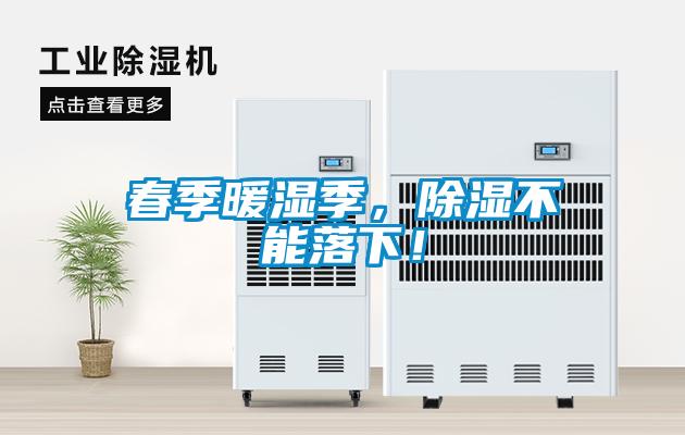 春季暖濕季，除濕不能落下！