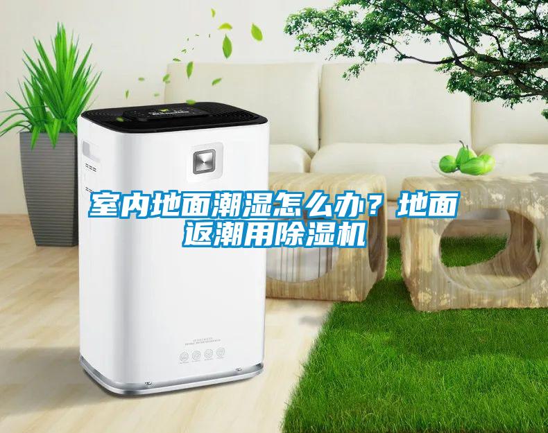 室內地面潮濕怎么辦？地面返潮用除濕機
