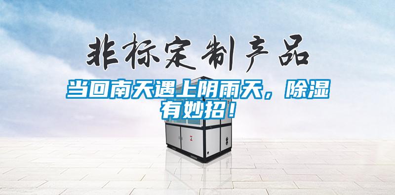 當回南天遇上陰雨天，除濕有妙招！