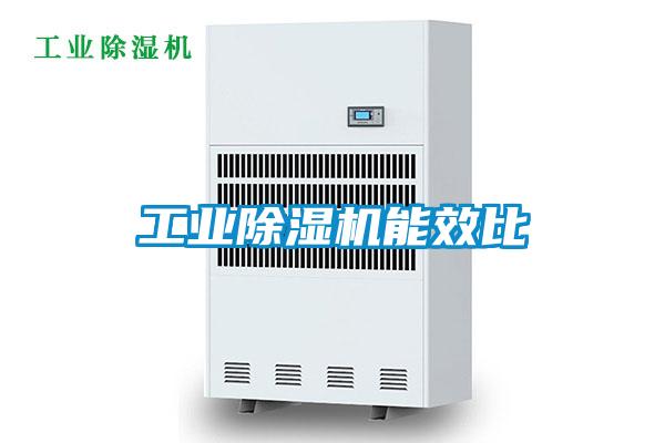 工業(yè)除濕機能效比