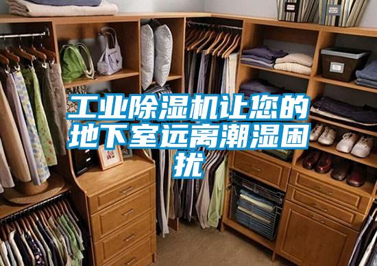 工業(yè)除濕機讓您的地下室遠離潮濕困擾