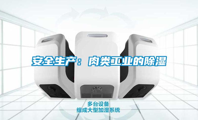 安全生產(chǎn)：肉類(lèi)工業(yè)的除濕