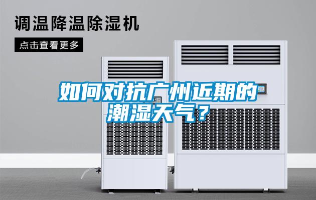 如何對抗廣州近期的潮濕天氣？