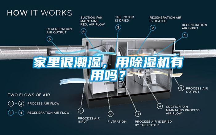 家里很潮濕，用除濕機有用嗎？