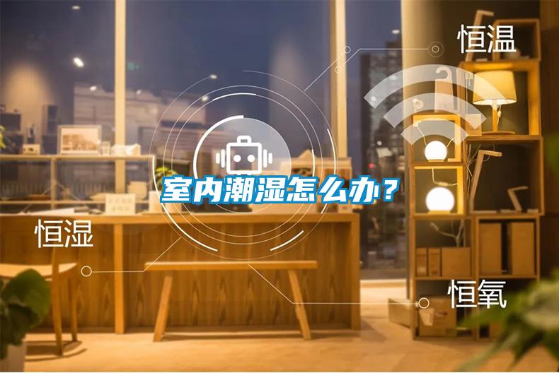 室內潮濕怎么辦？