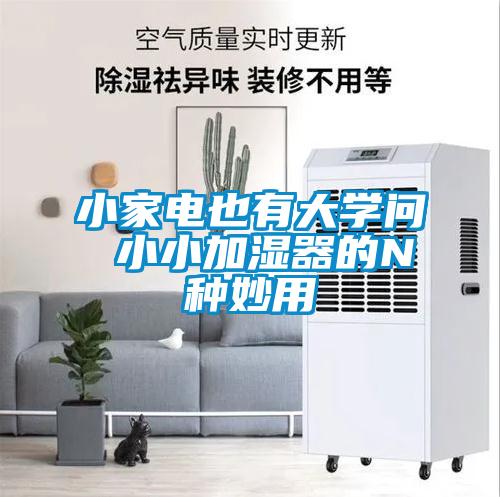 小家電也有大學(xué)問(wèn) 小小加濕器的N種妙用