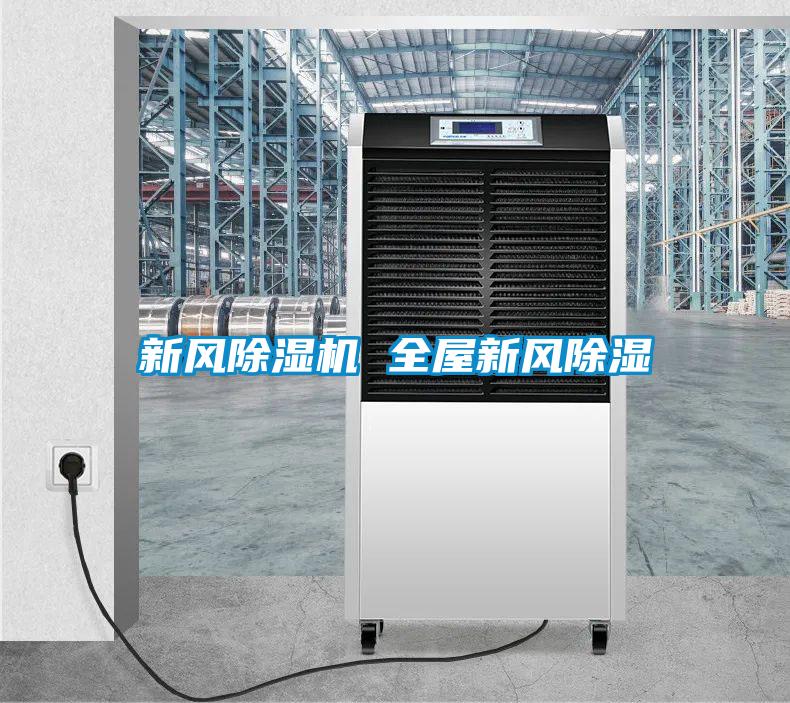 新風(fēng)除濕機 全屋新風(fēng)除濕