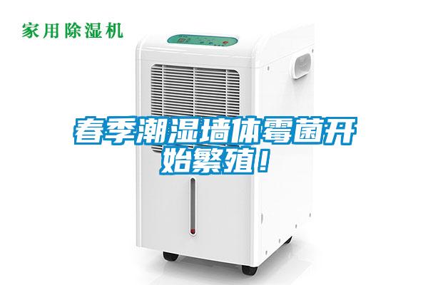 春季潮濕墻體霉菌開(kāi)始繁殖！