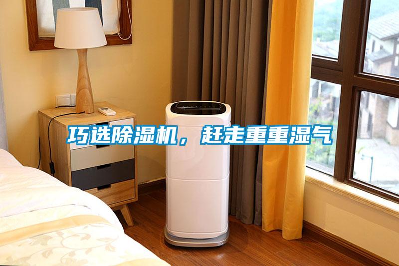 巧選除濕機，趕走重重濕氣