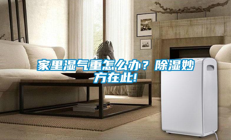 家里濕氣重怎么辦？除濕妙方在此!