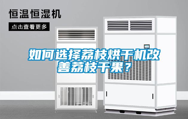 如何選擇荔枝烘干機改善荔枝干果？
