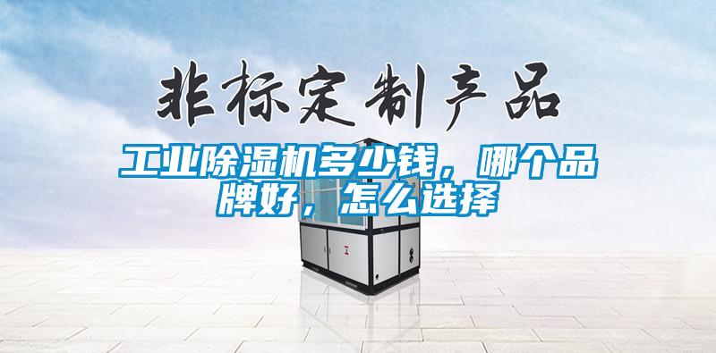 工業(yè)除濕機多少錢(qián)，哪個(gè)品牌好，怎么選擇