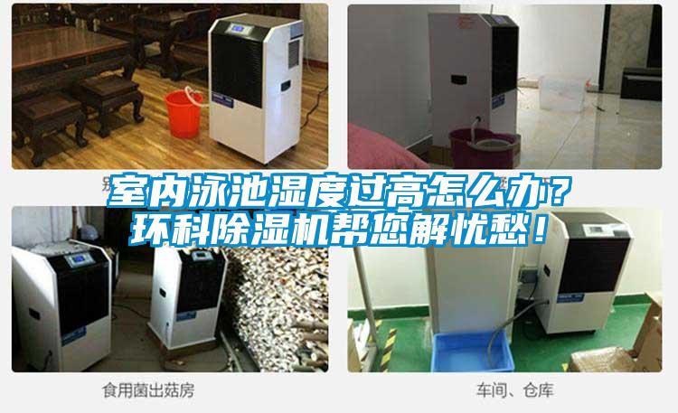 室內泳池濕度過(guò)高怎么辦？環(huán)科除濕機幫您解憂(yōu)愁！