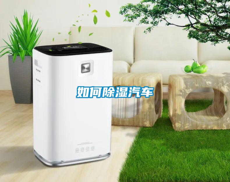 如何除濕汽車(chē)