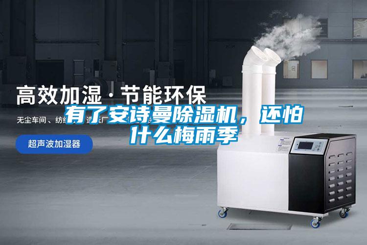 有了安詩(shī)曼除濕機，還怕什么梅雨季