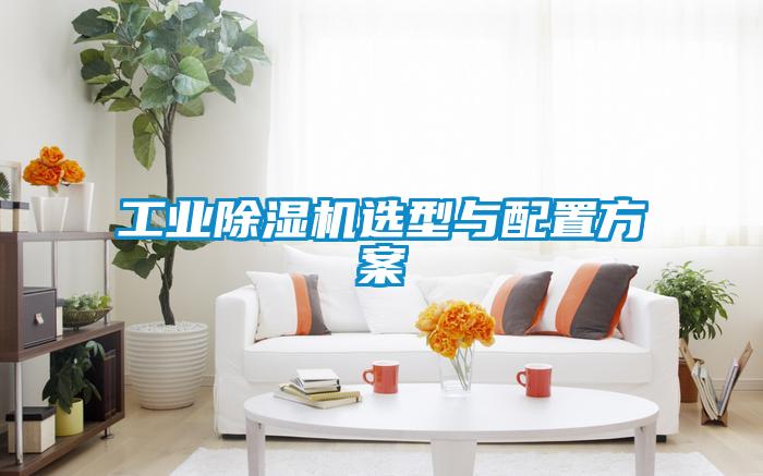 工業(yè)除濕機選型與配置方案
