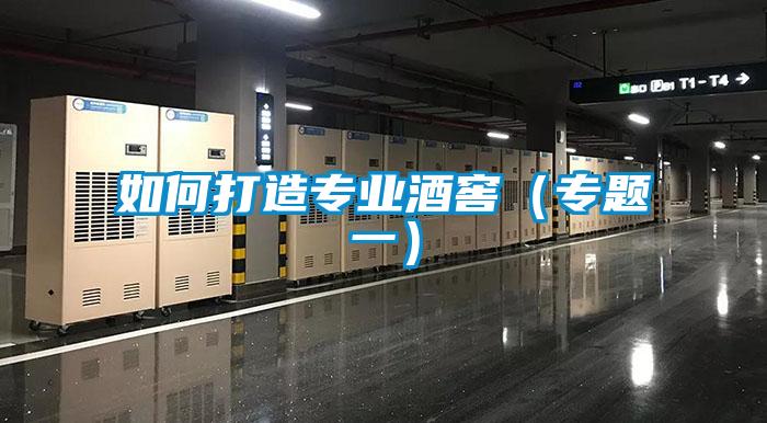 如何打造專(zhuān)業(yè)酒窖（專(zhuān)題一）