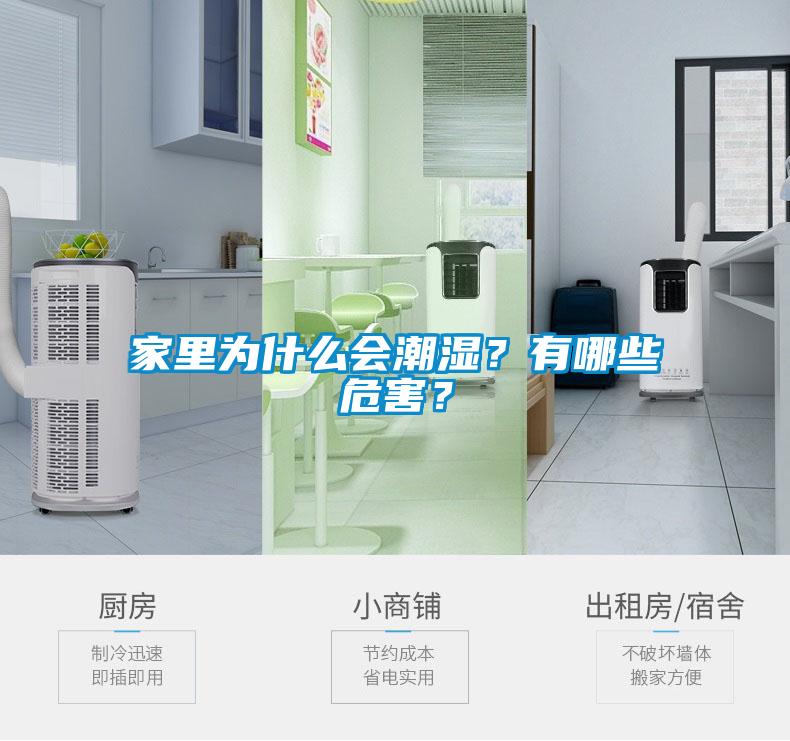 家里為什么會(huì )潮濕？有哪些危害？