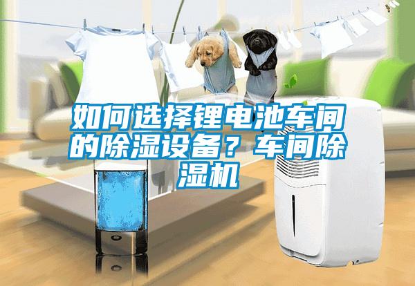如何選擇鋰電池車(chē)間的除濕設備？車(chē)間除濕機