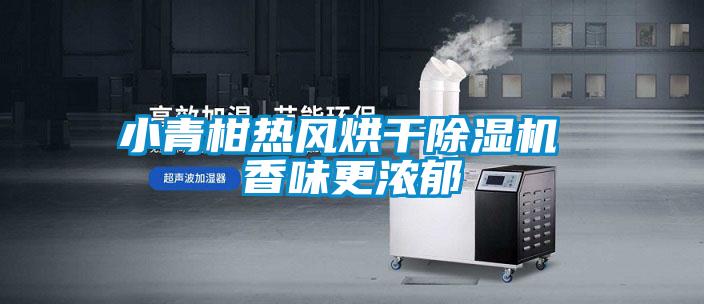 小青柑熱風(fēng)烘干除濕機 香味更濃郁