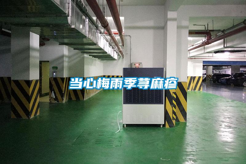 當心梅雨季蕁麻疹