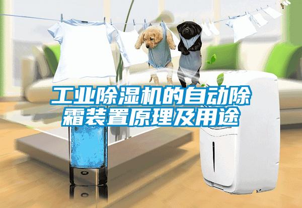 工業(yè)除濕機的自動(dòng)除霜裝置原理及用途