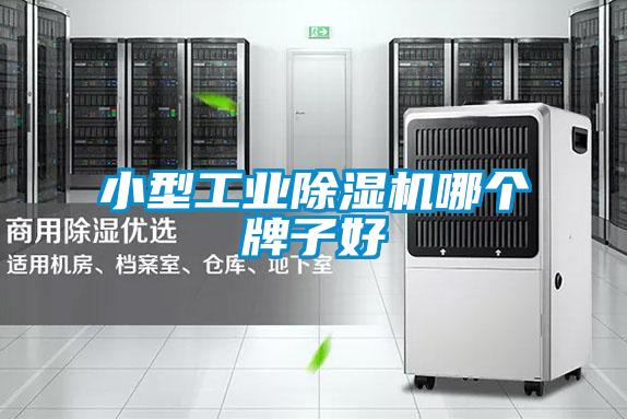小型工業(yè)除濕機哪個(gè)牌子好