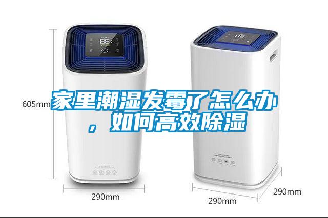家里潮濕發(fā)霉了怎么辦，如何高效除濕