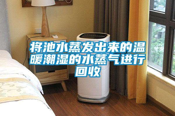 將池水蒸發(fā)出來(lái)的溫暖潮濕的水蒸氣進(jìn)行回收
